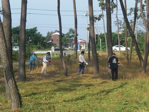 米子扶翼会 除草活動風景