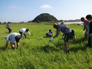 水鳥公園清掃ボランティアの写真